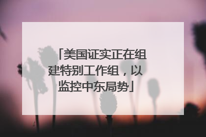 美国证实正在组建特别工作组，以监控中东局势